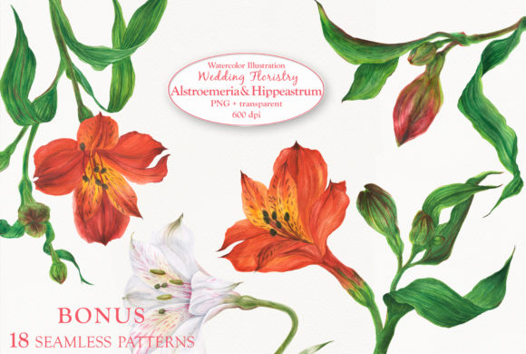 Alstroemeria Hippeastrum Illustrations: A Crafter’s Dream for Elegant Handmade Design