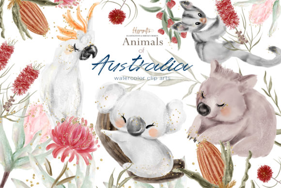 Australia Animals Illustration: A Crafter’s Review for Real Projects