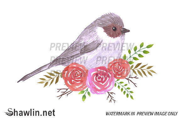 Bushtit and Perennial Roses Illustrations: A Brand Designer’s Honest Review for Marketing and Visual Storytelling