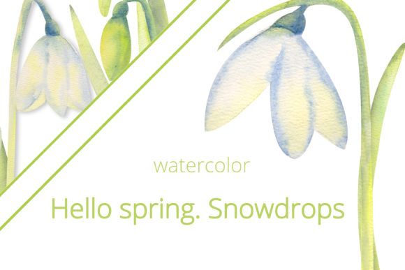 Charming Spring Illustrations: Hello, Spring Frames with Snowdrops