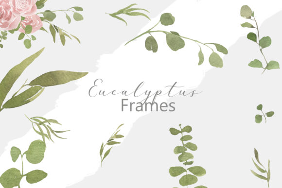 Eucalyptus Frames Illustrations for Digital Sellers