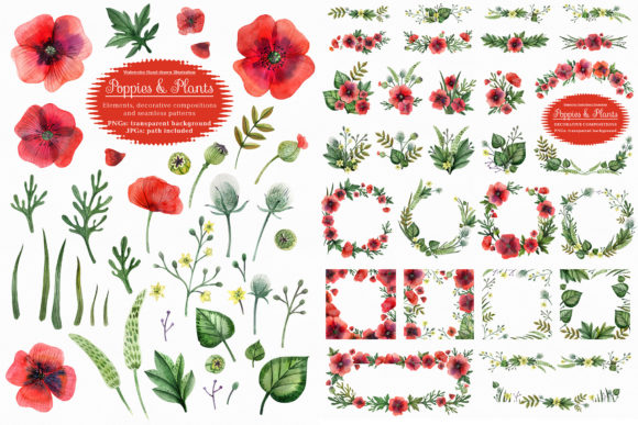 h1Poppies and Wild Plants Illustrations for Creative Sellers/h1