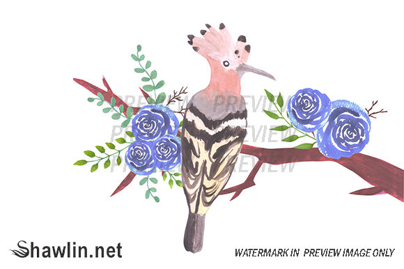 Hoopoe Bird on Floral Branch: A Designer’s Real-World Review