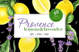 Provence Lemons and Lavender: A Designer’s Honest Review for Real Embroidery Use