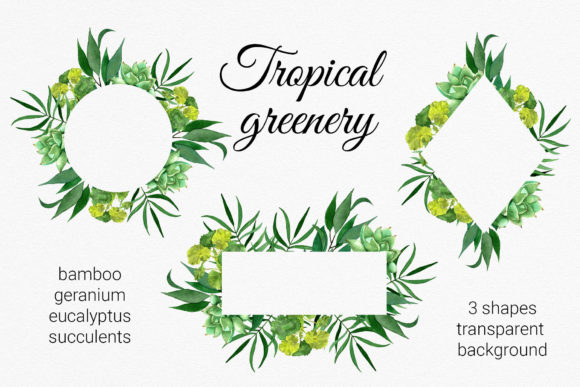 Tropical Greenery Frame Cliparts: A Designer’s Review for Branding & Marketing Use