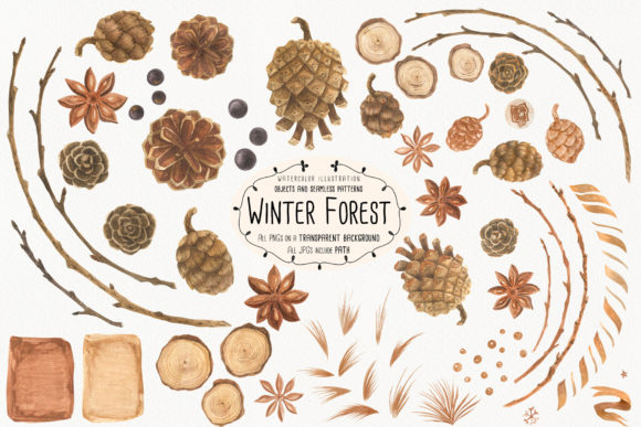 Winter Forest Illustrations for Digital Sellers: A Practical Review